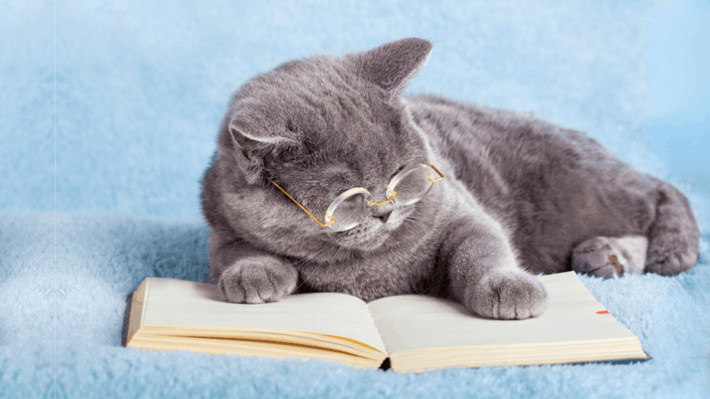 商業出版は「主導権が著者側に無い」ことに、気づけるかどうか