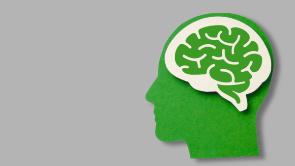 脳内ホルモンから考える出版企画｜時代に合わせたヒットの作り方