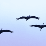 一石三鳥の出版ノウハウ｜「逆張り」があなたを輝かせる理由