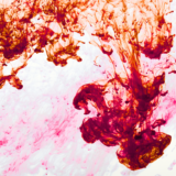 既存の出版テーマ・カテゴリーの枠を、ちょっと超えよう