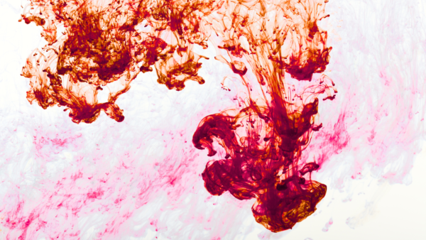 既存の出版テーマ・カテゴリーの枠を、ちょっと超えよう